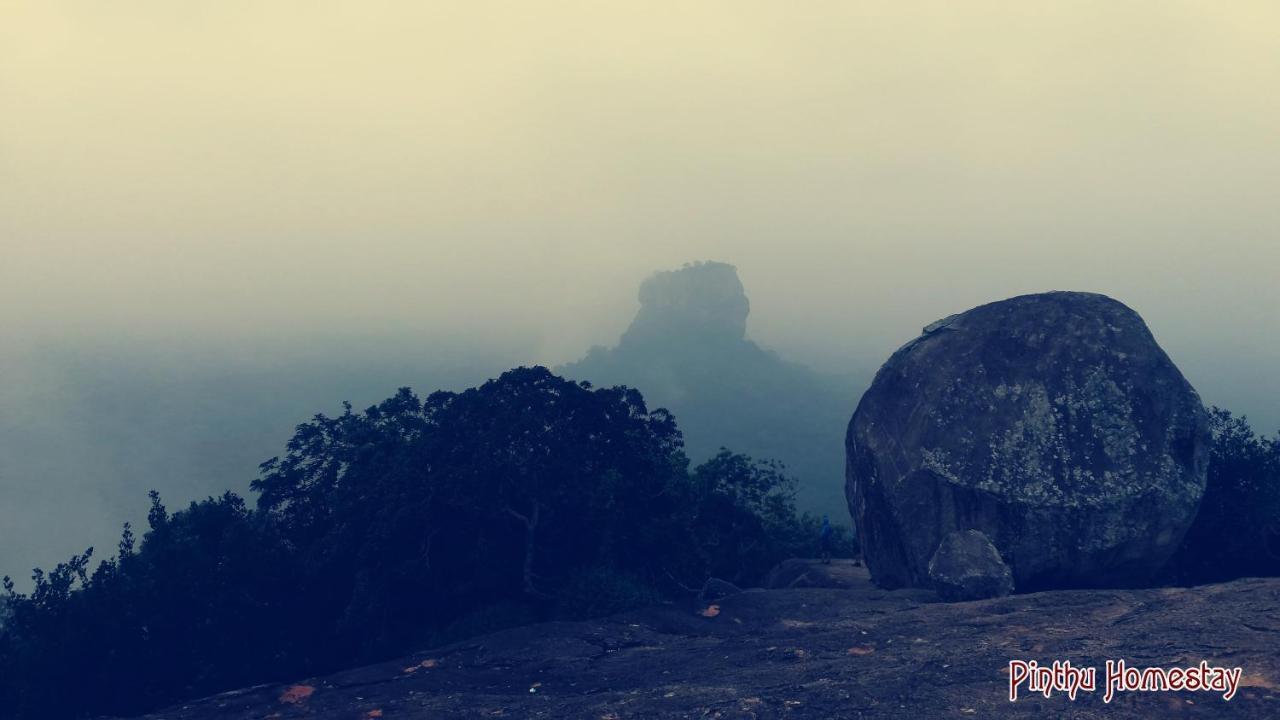 Pinthu Home Stay Sigiriya Bagian luar foto