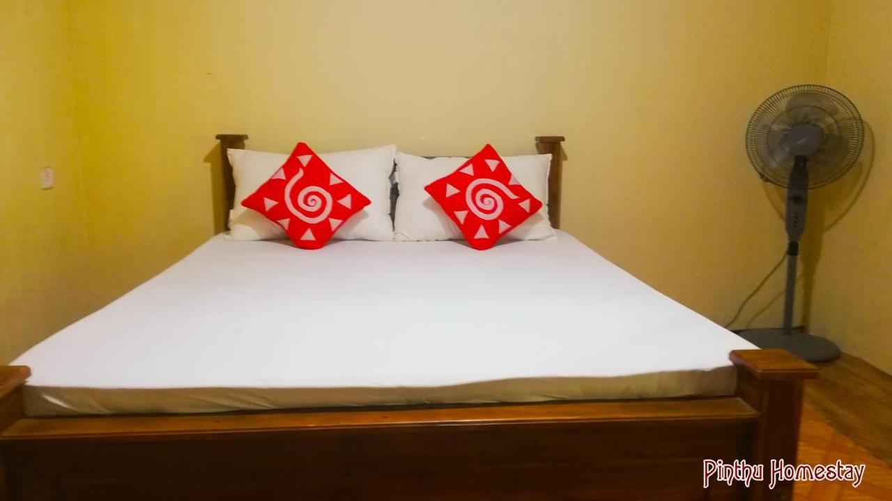 Pinthu Home Stay Sigiriya Bagian luar foto