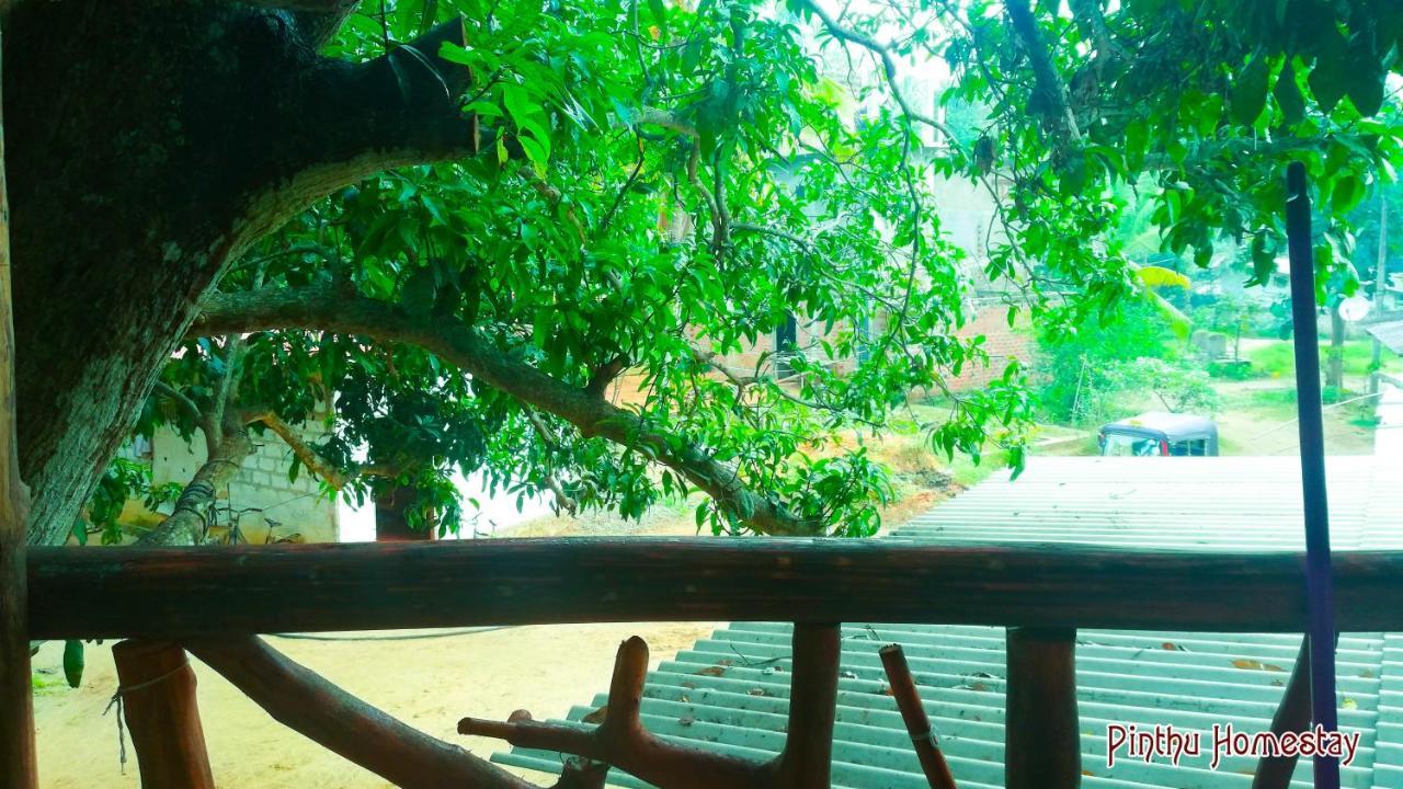 Pinthu Home Stay Sigiriya Bagian luar foto