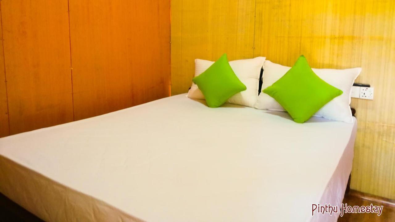 Pinthu Home Stay Sigiriya Bagian luar foto