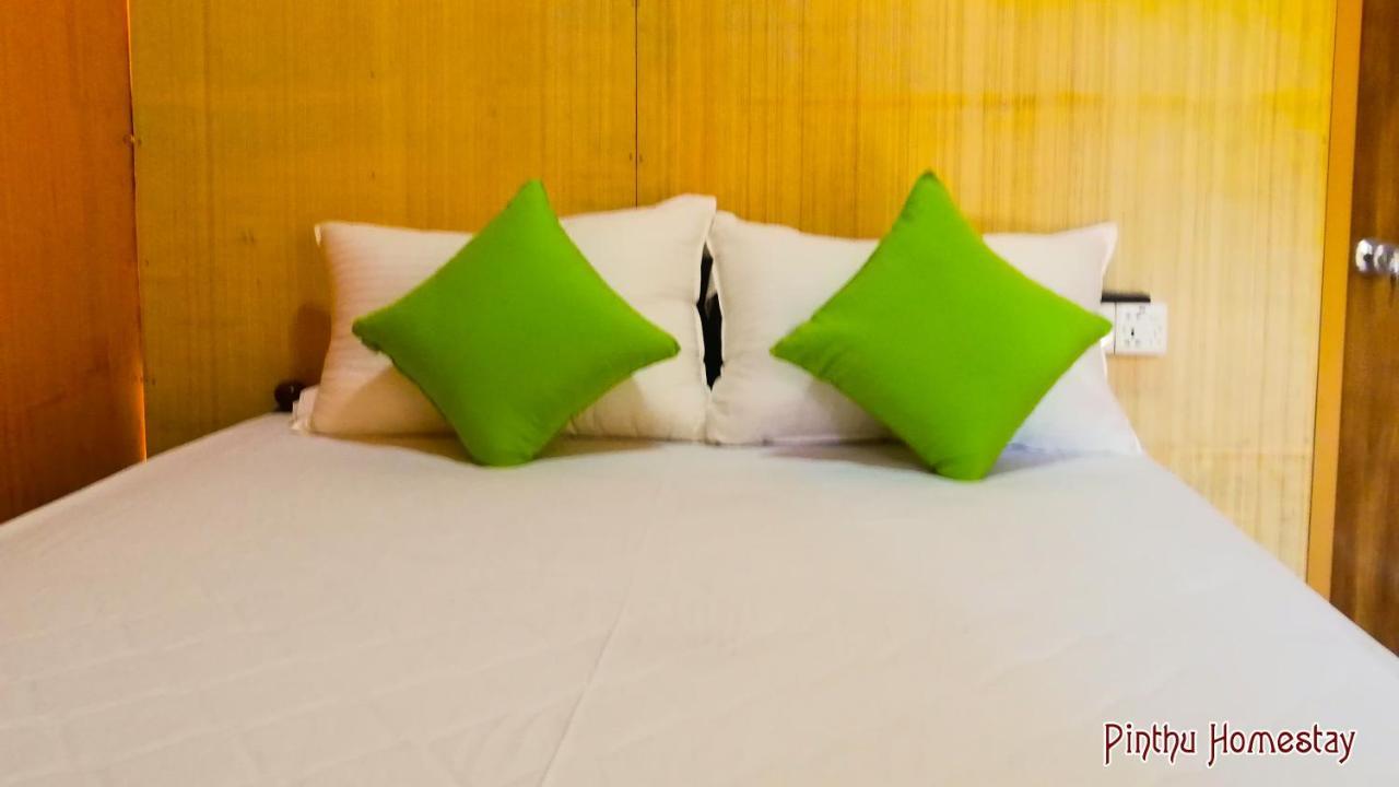 Pinthu Home Stay Sigiriya Bagian luar foto